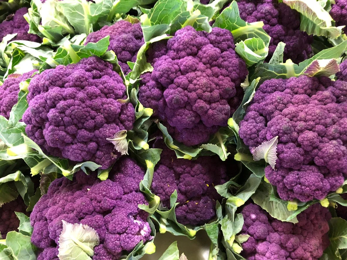 purple-cauliflower-iStock-1047753602.jpg