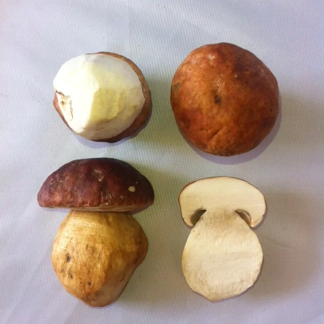 Grade #1 Wild Harvested Porcini Mushroom