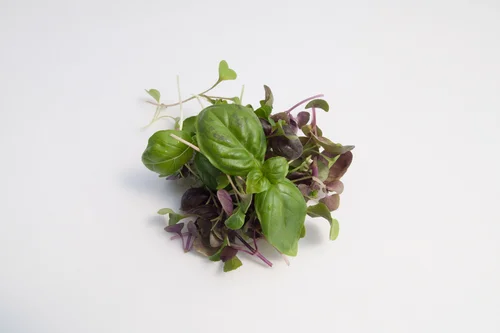 Arugula Basil