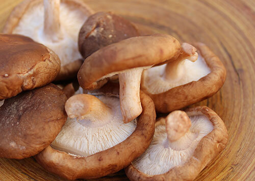Shitake Mushroom - Andrews Bushey