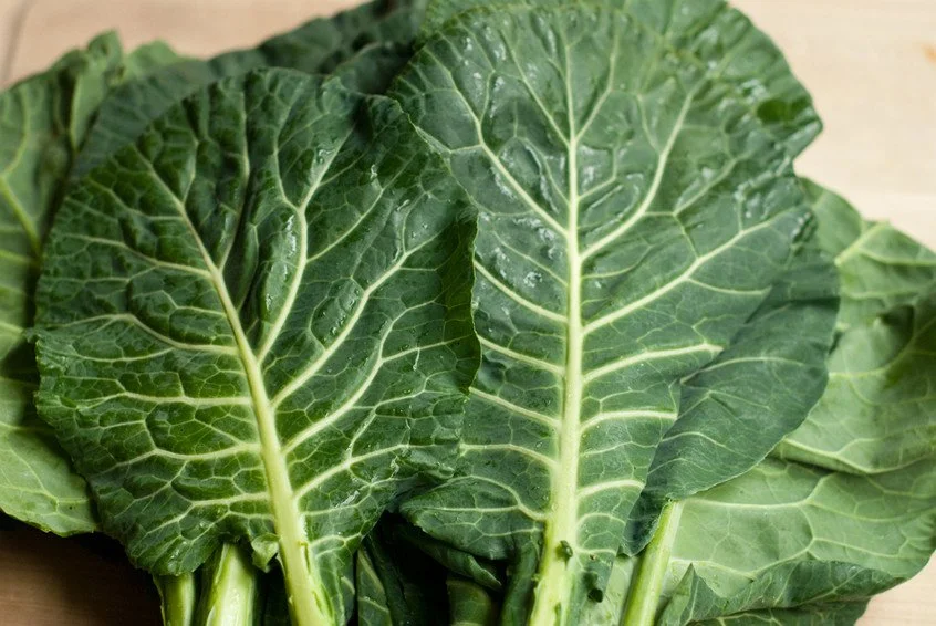 Collard Greens, 1 bunch