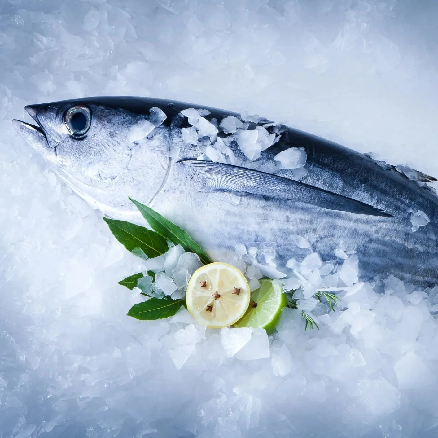 albacore-tuna-iStock-498367956.jpg