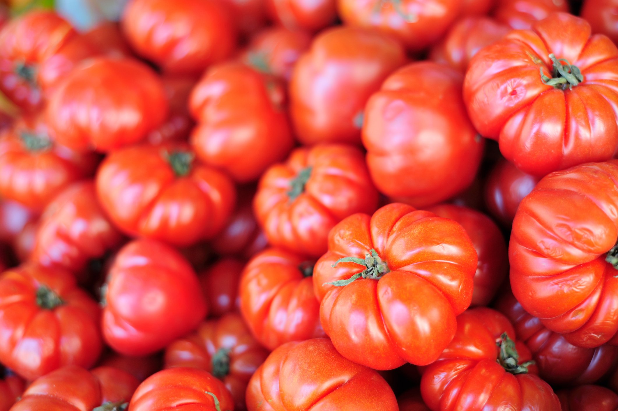 Organic Beefsteak Tomatoes