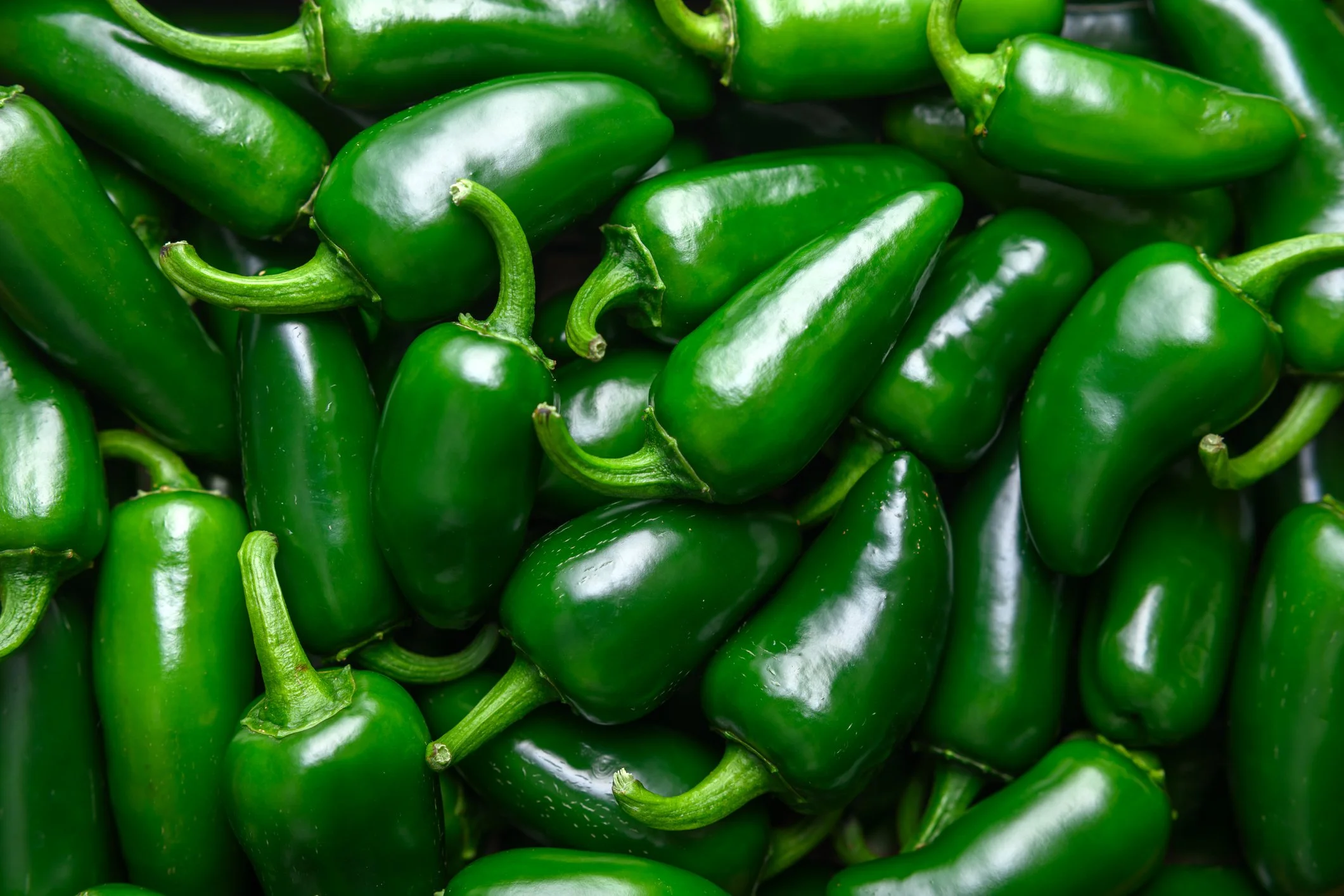 Organic Jalapeño Peppers