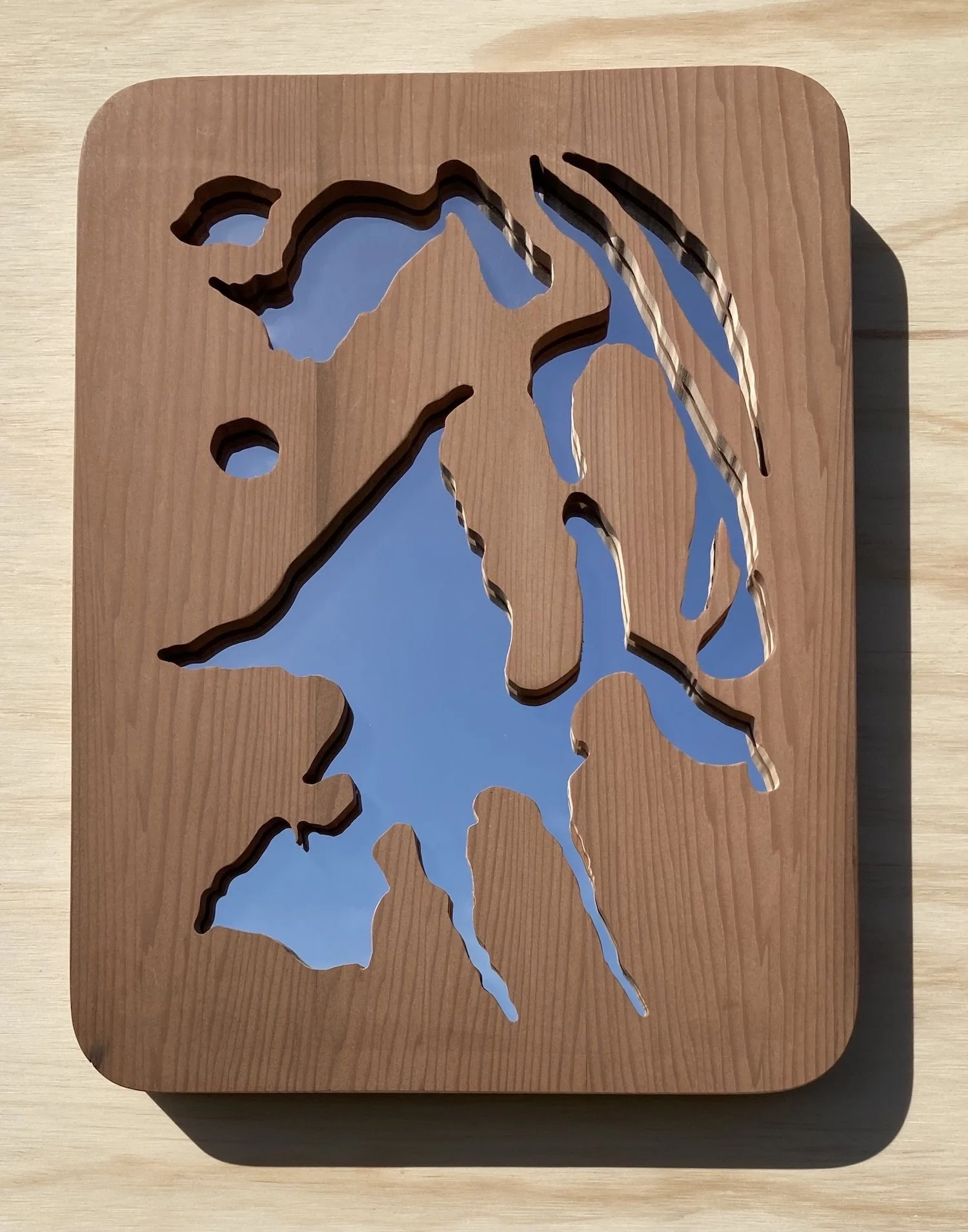 mirror_03_1 copy.jpeg