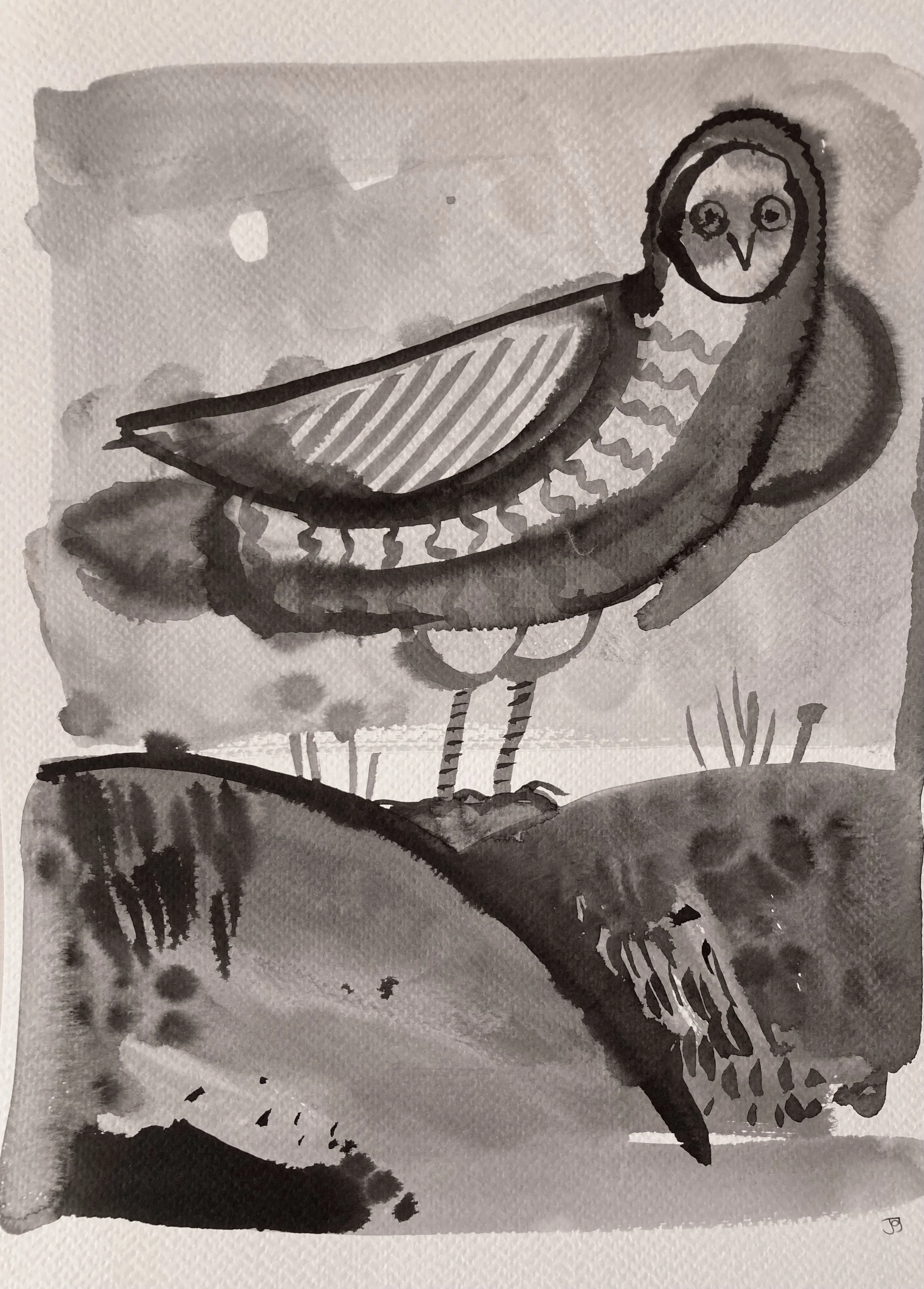 owl.jpg