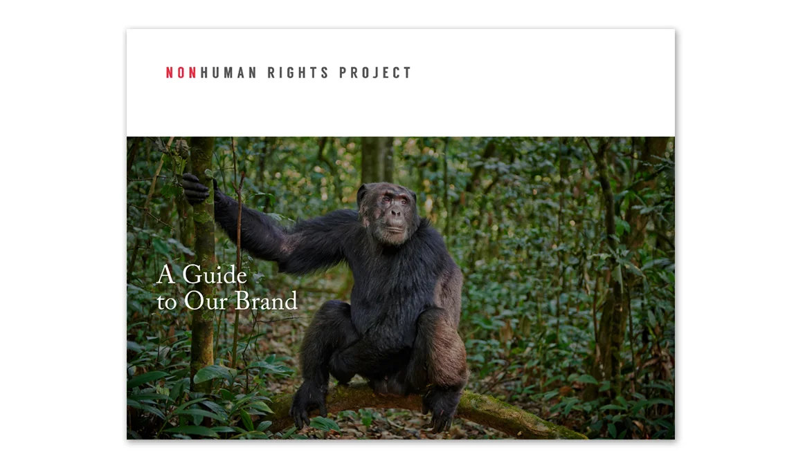 Nonhuman Rights Project