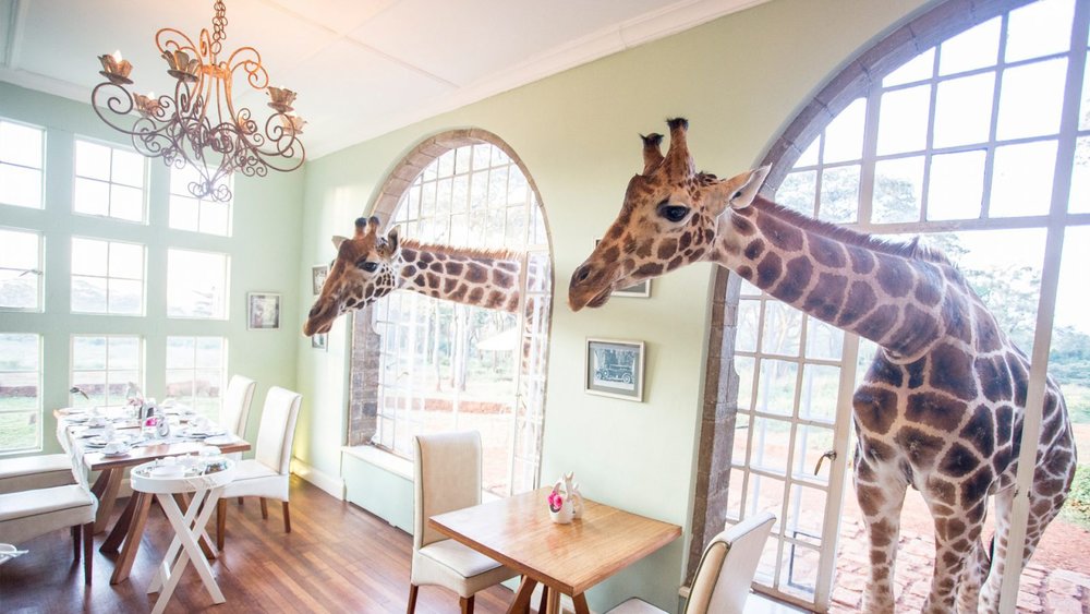 Giraffe Manor, Nairobi