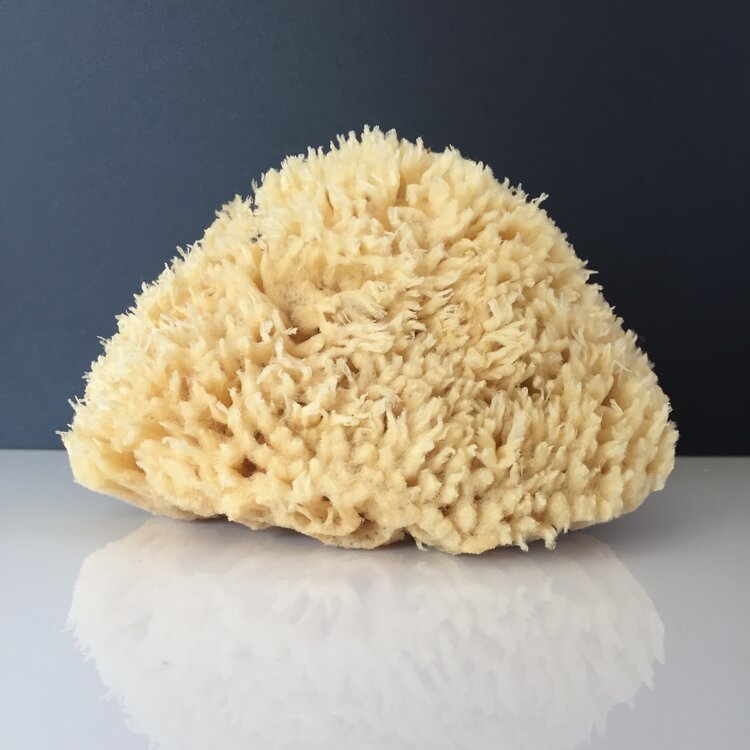 LARGE WOOL BODY SEA SPONGE — VIRTUE SKINFOOD