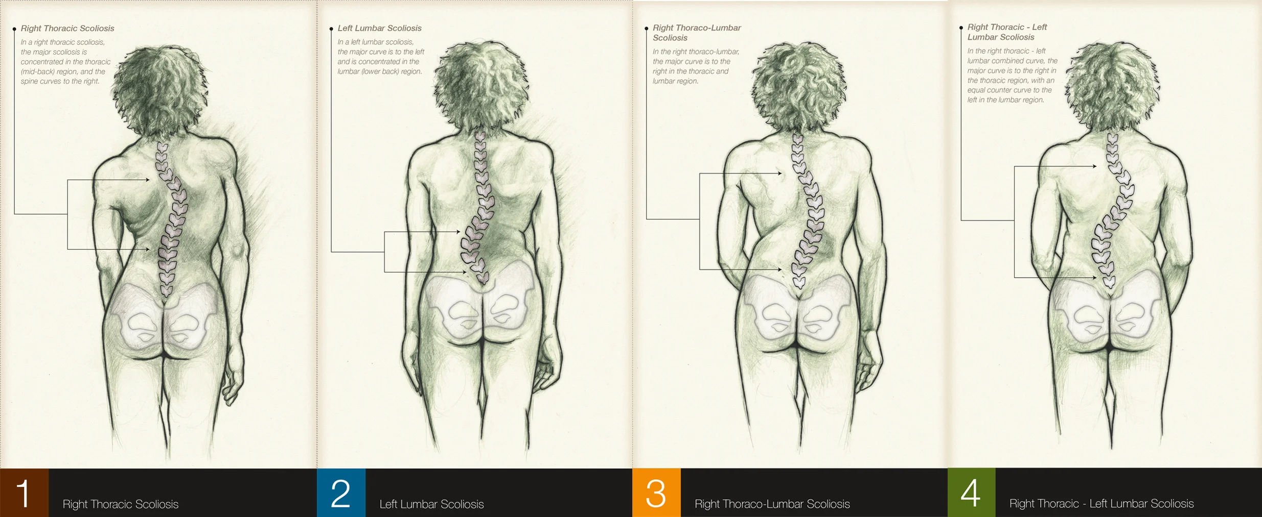 NSAM2019-4-Spines-Pattern-Facebook.jpg