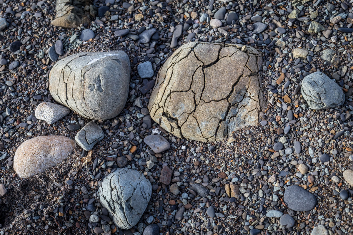 The young, fragile rocks on the beach.