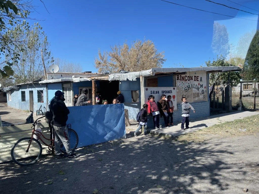 The Vines (Fall 2023)