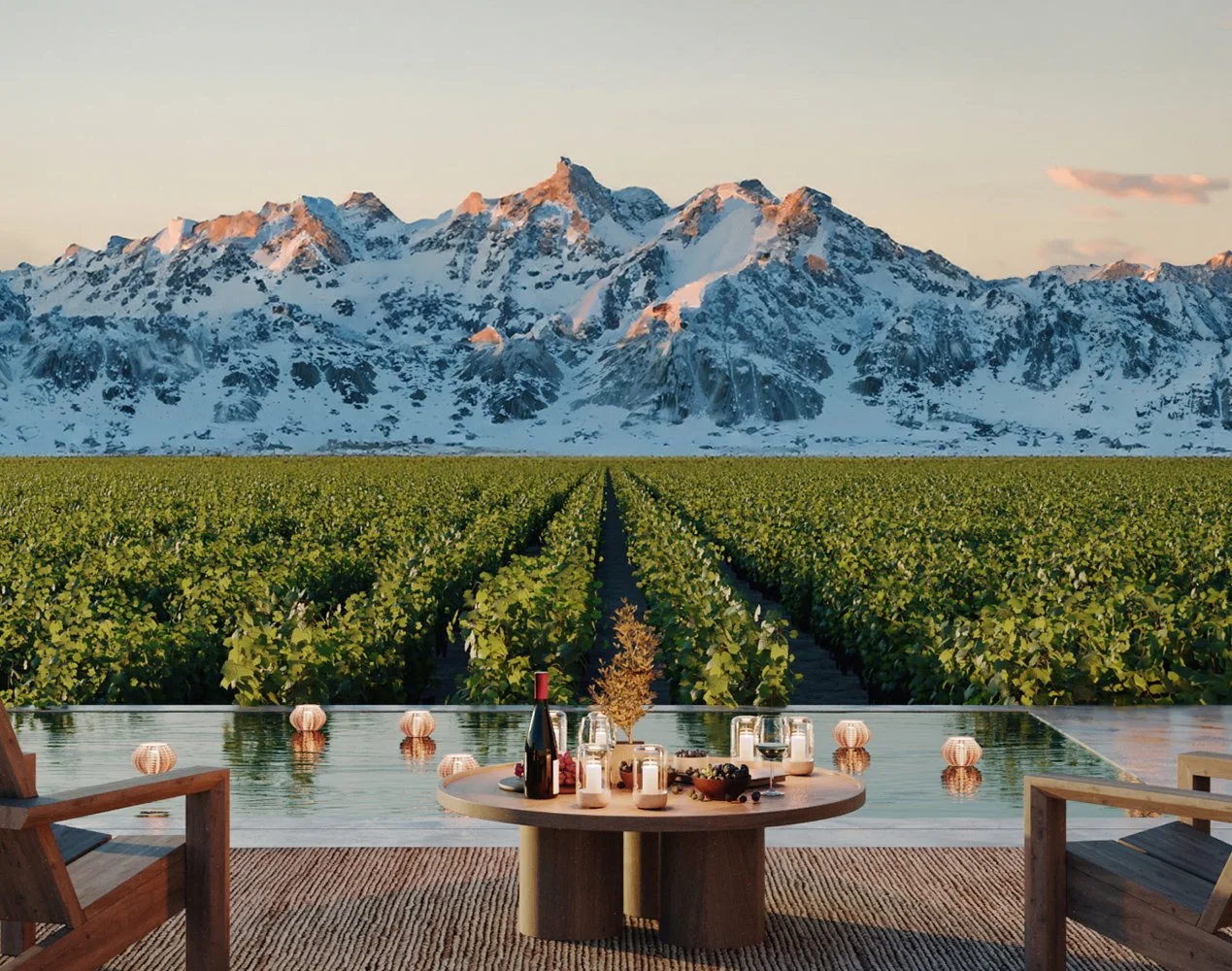 The Vines (Spring 2026)