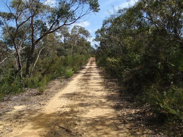 Detect Access Issues