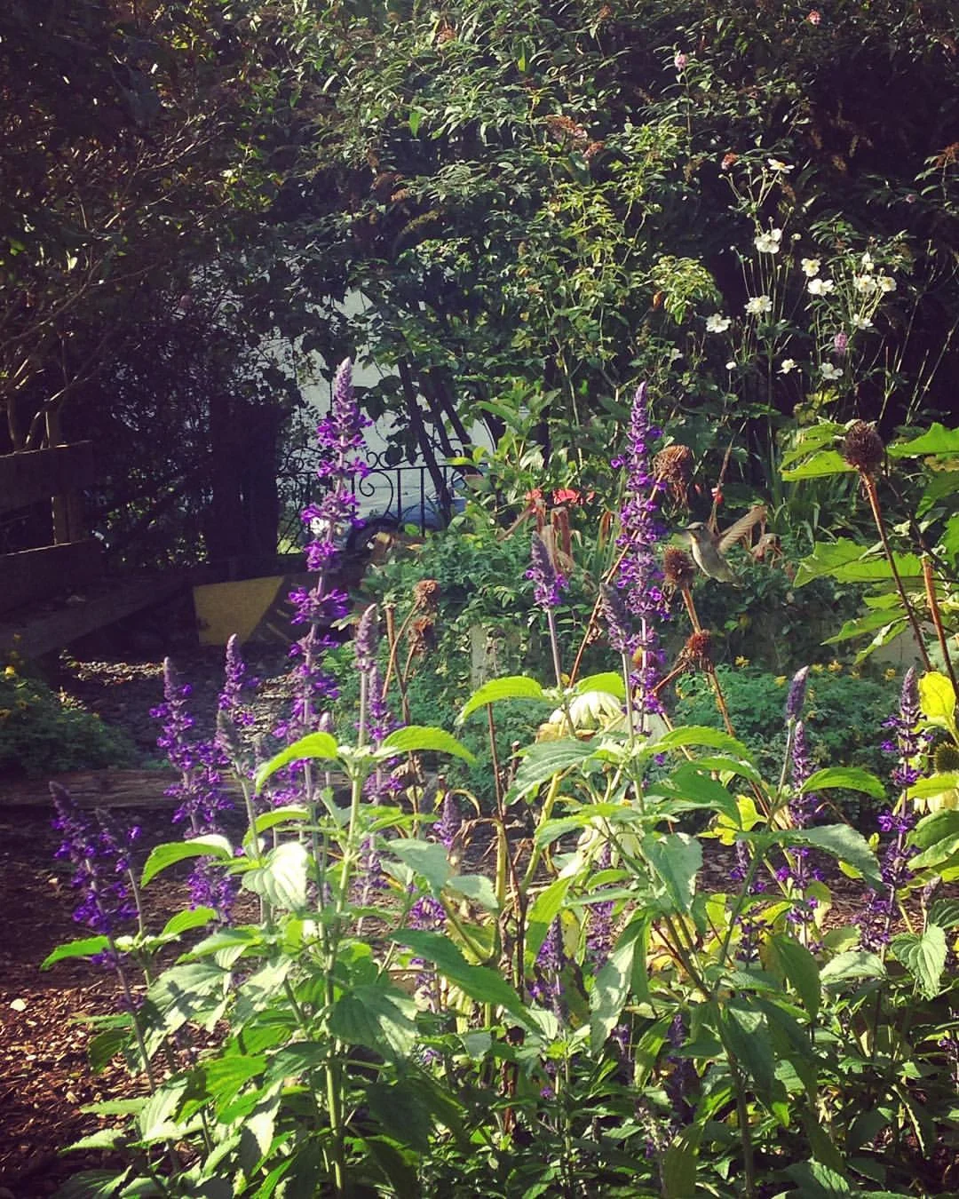 Groundswell cohorts take time to take a close look at themselves and the world around them. (can you spot the hummingbird?)