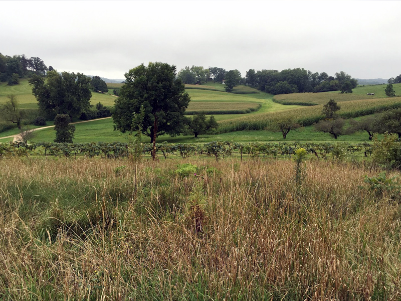 The Fields of Taliesin, Spring Green, WI