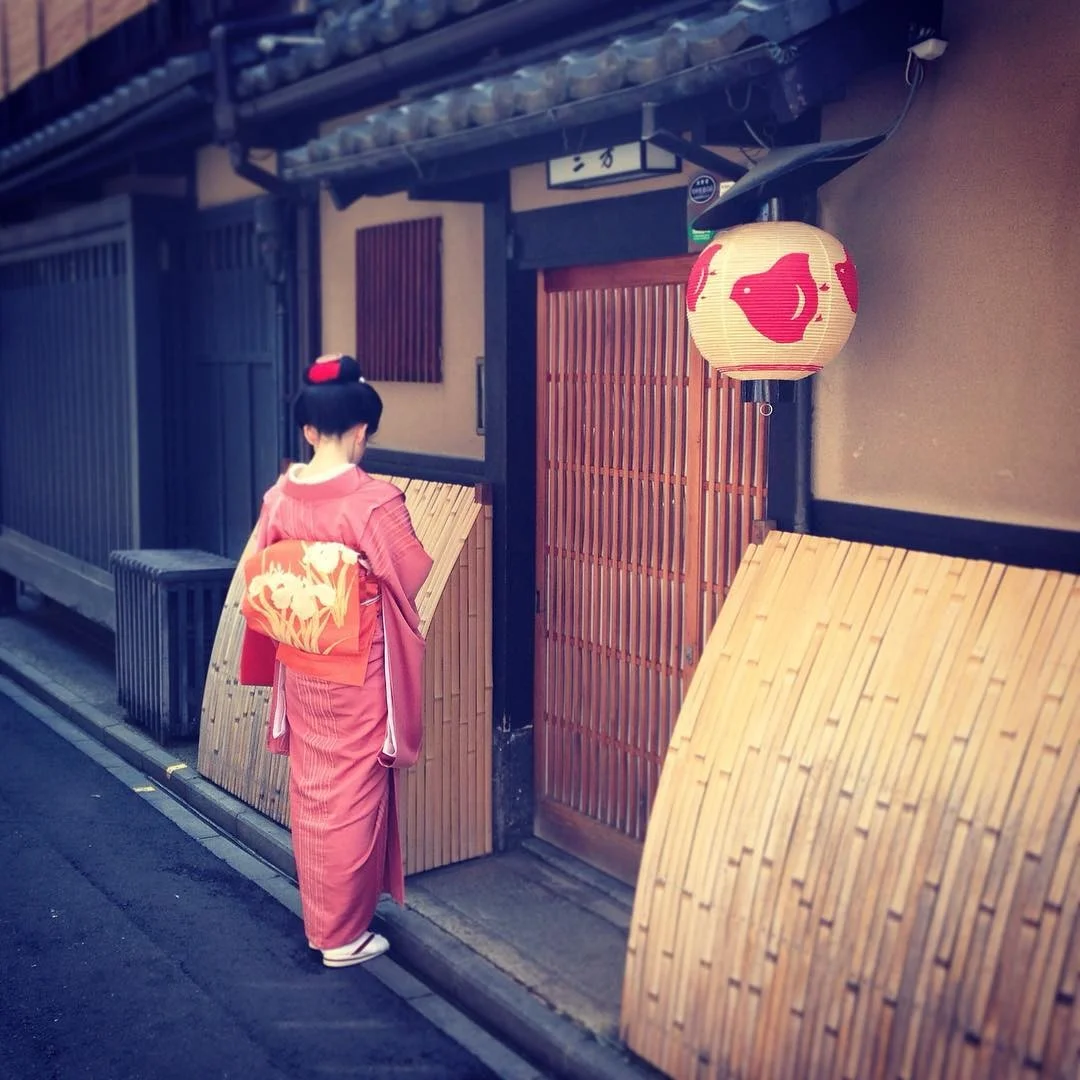 geisha maiko kyoto pontocho gion.jpg