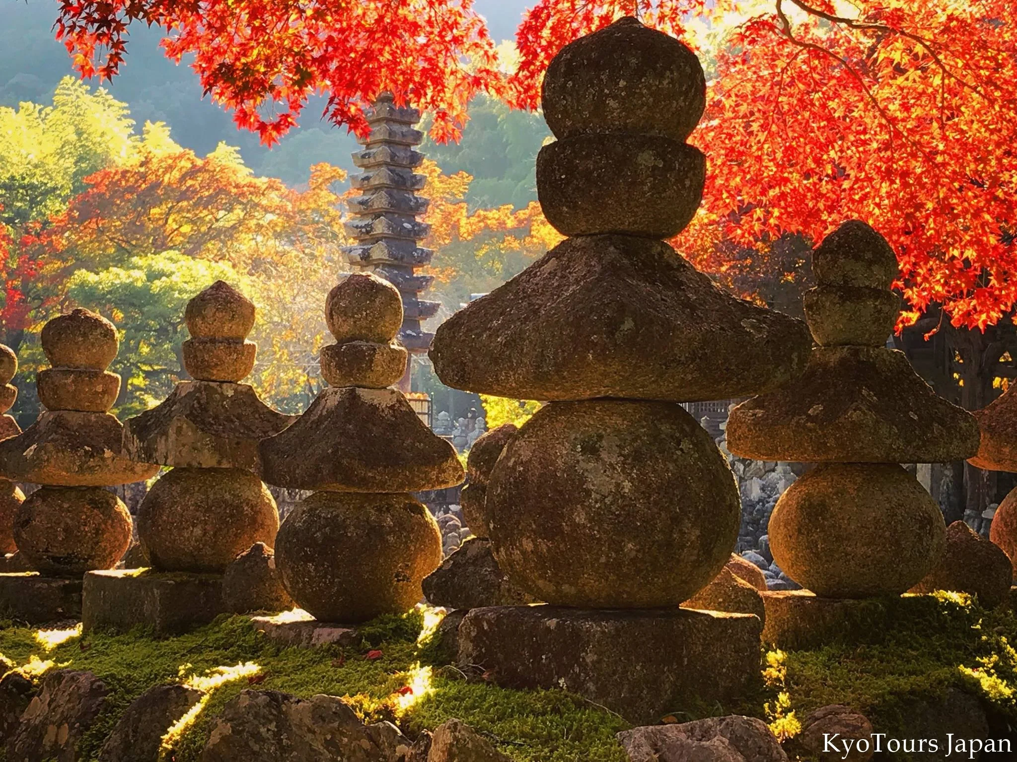kyoto momiji 2017 KyoTours23.jpg