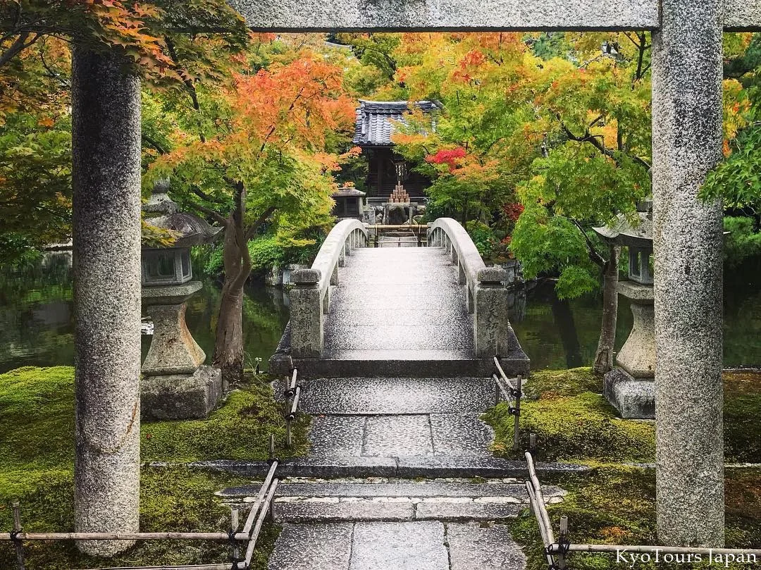 kyoto momiji 2017 KyoTours26.jpg
