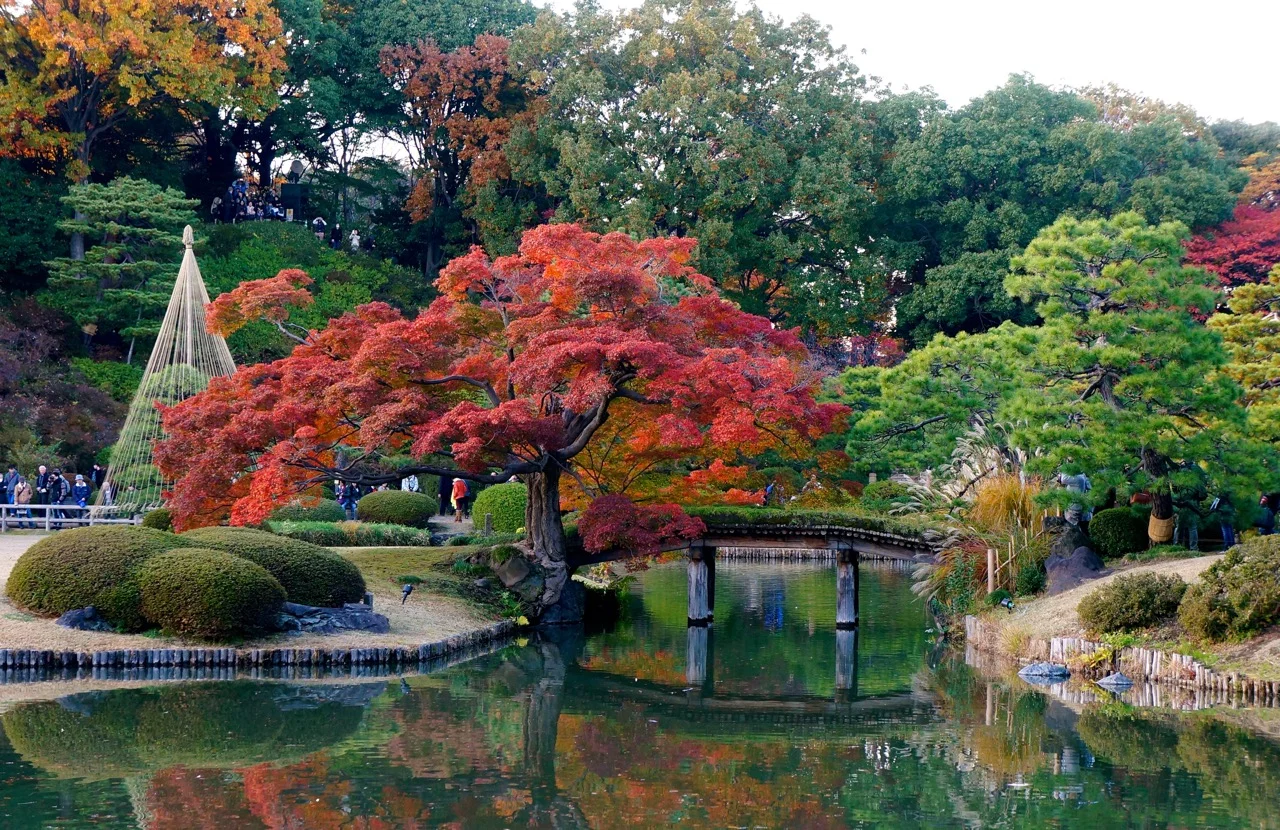 Rikugien-Garden-01.jpg