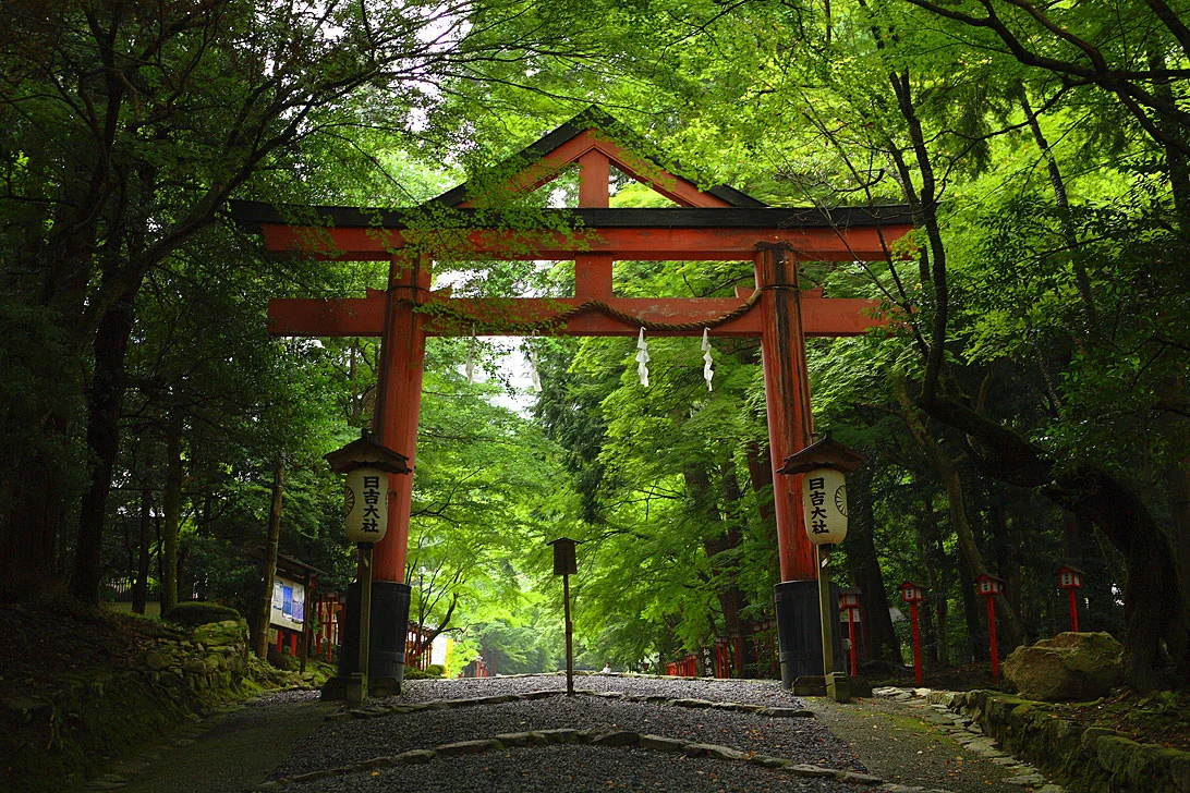 hiyoshi+taisha+torii+gate.jpg