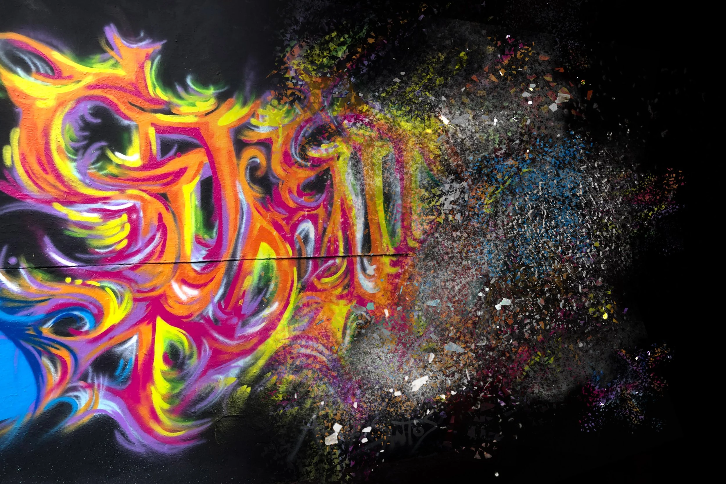 plbanner15 copy.jpg