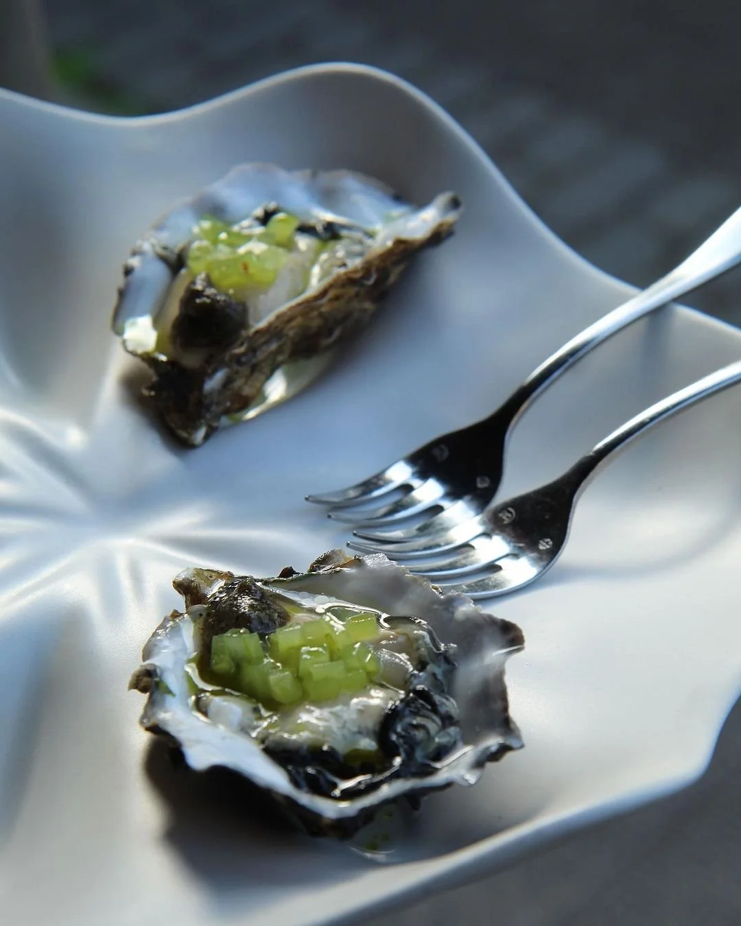 Oysters with cucumber, hot sauce & coriander..jpg