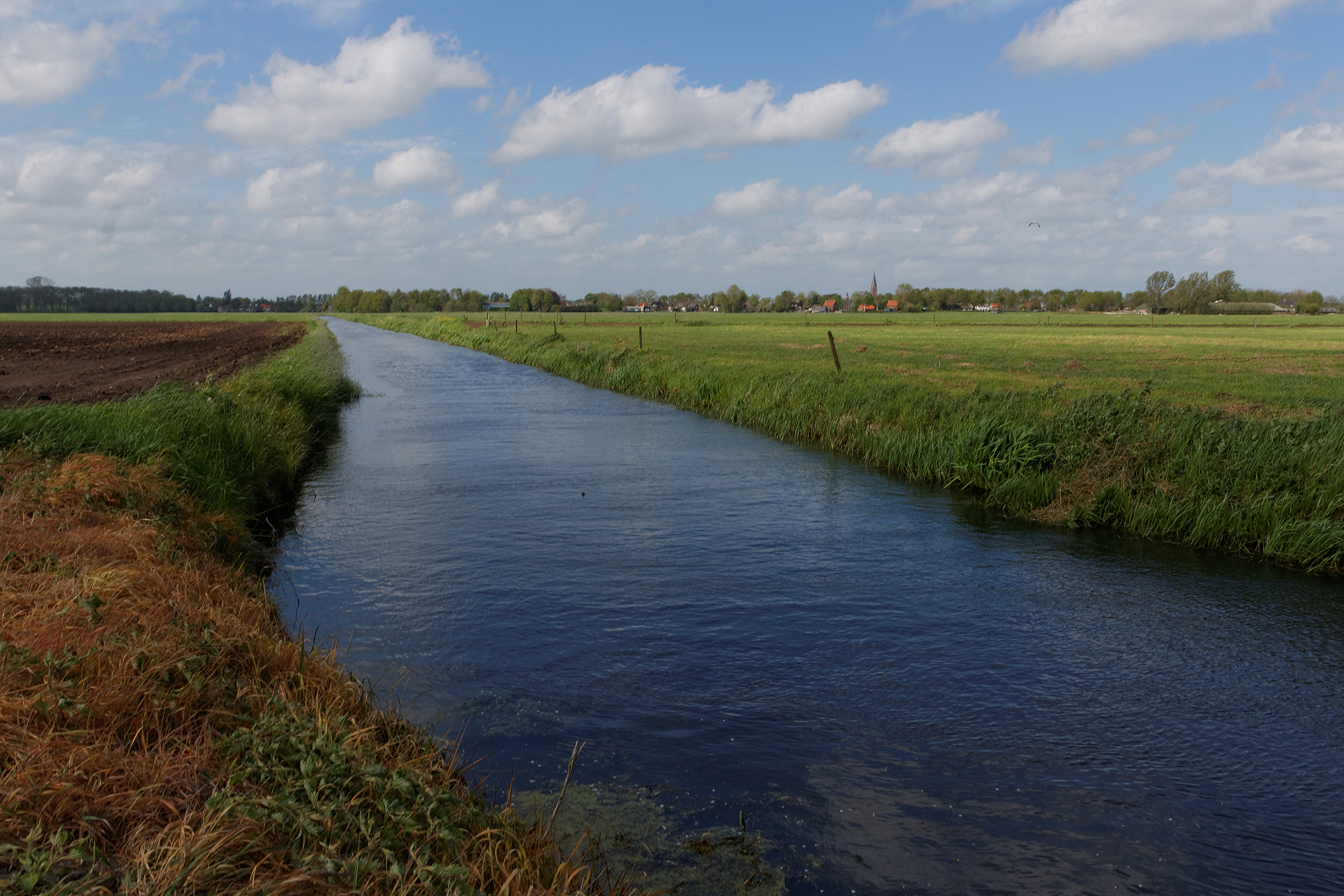 brabant
