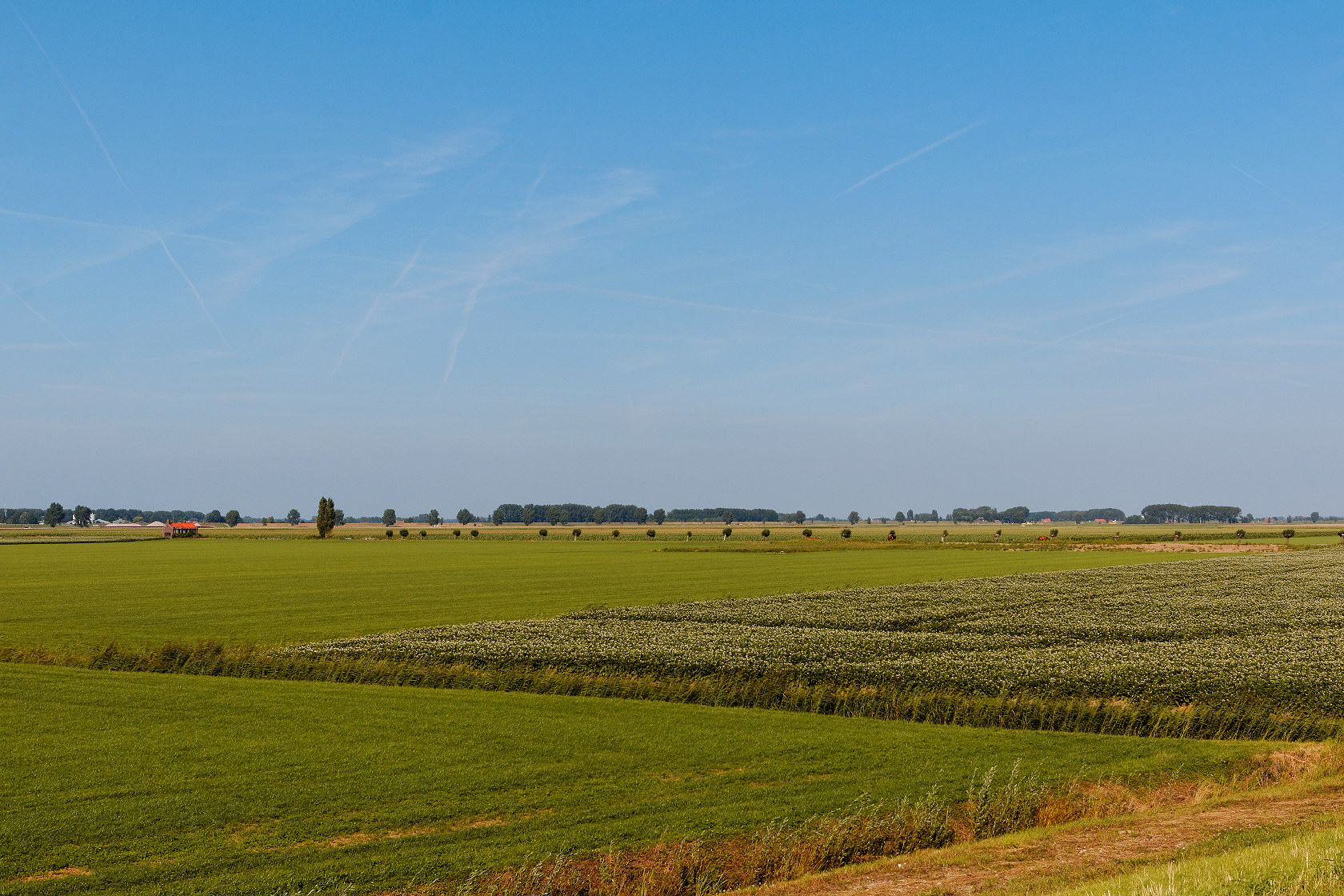 brabant