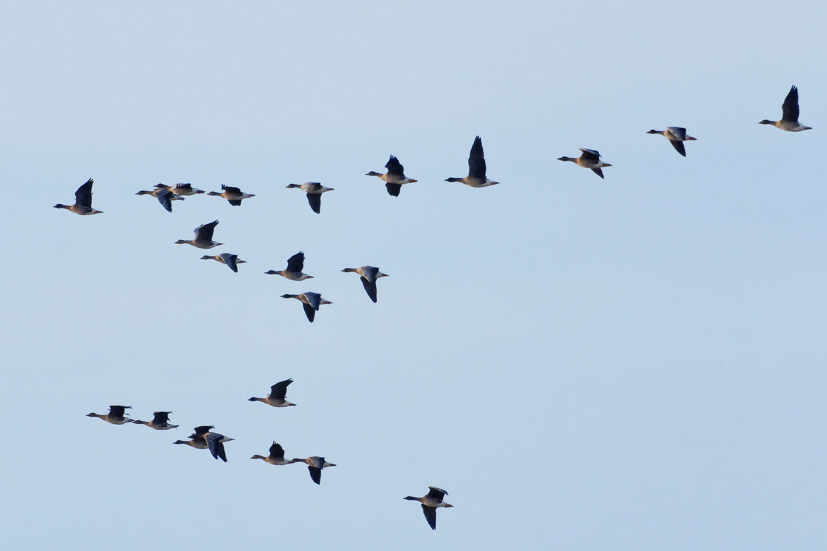 in formation