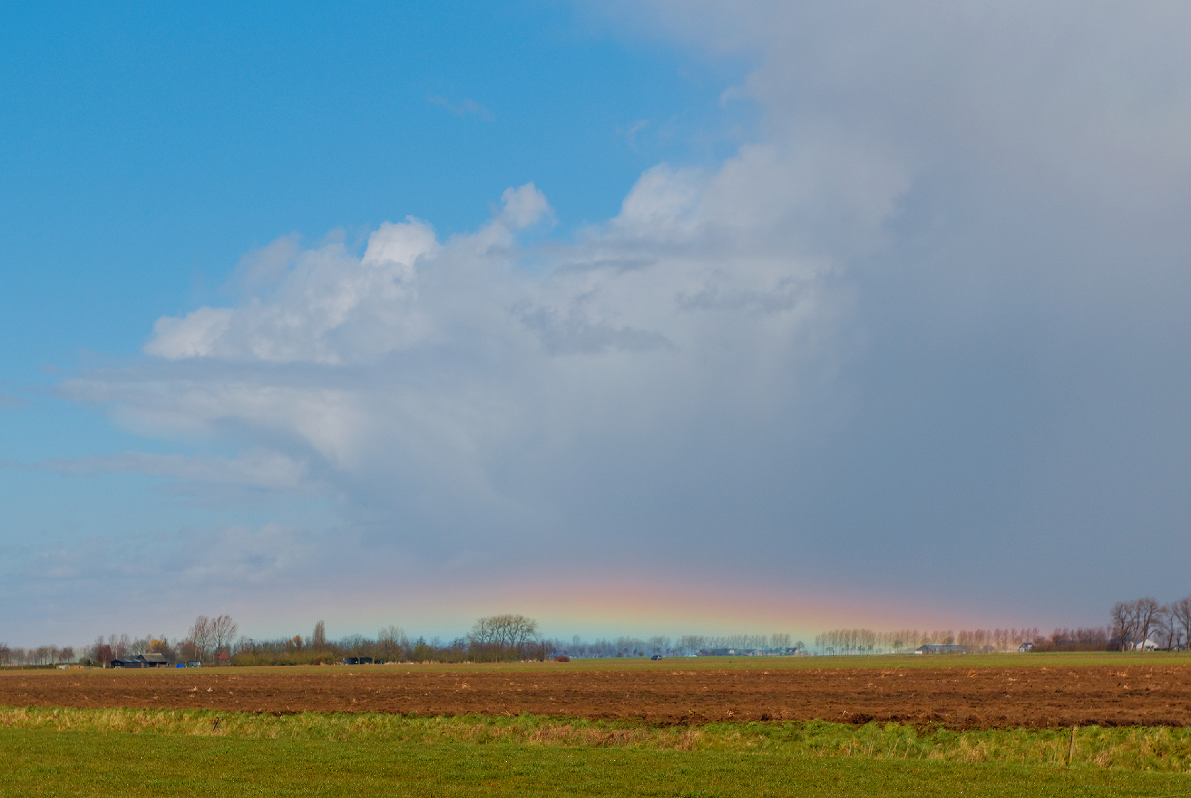 after the rain