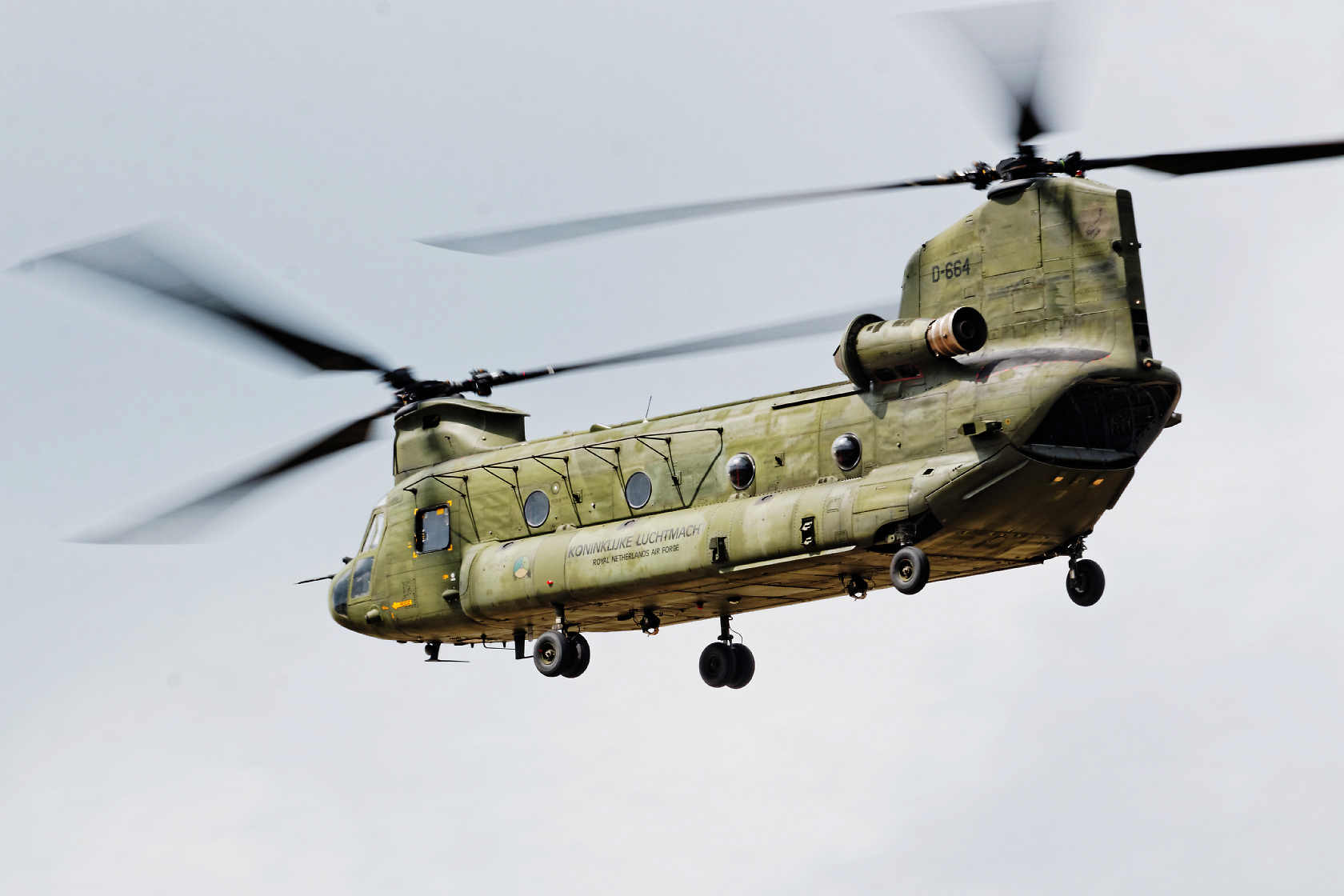 chinook
