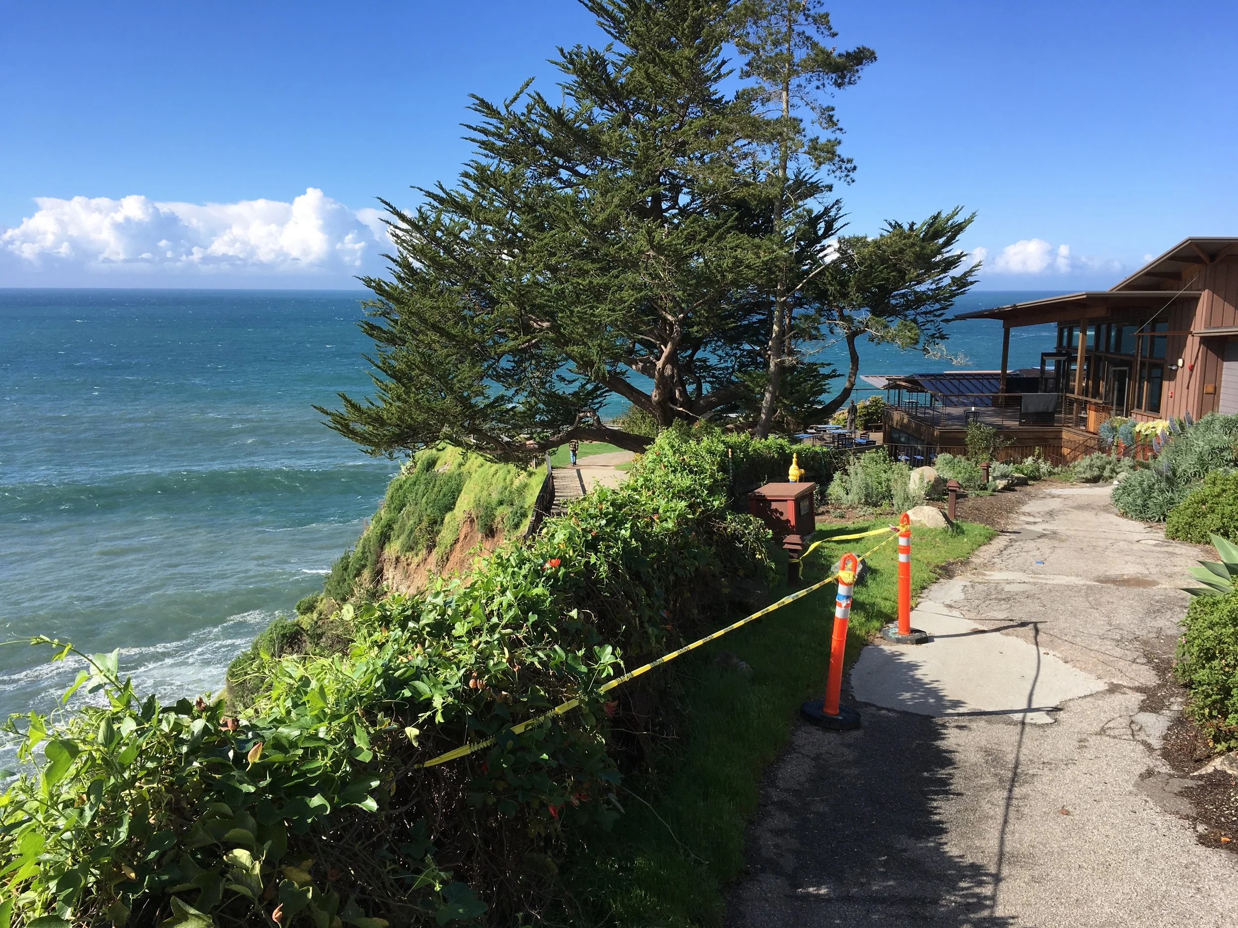 Silicon Valley Spirit