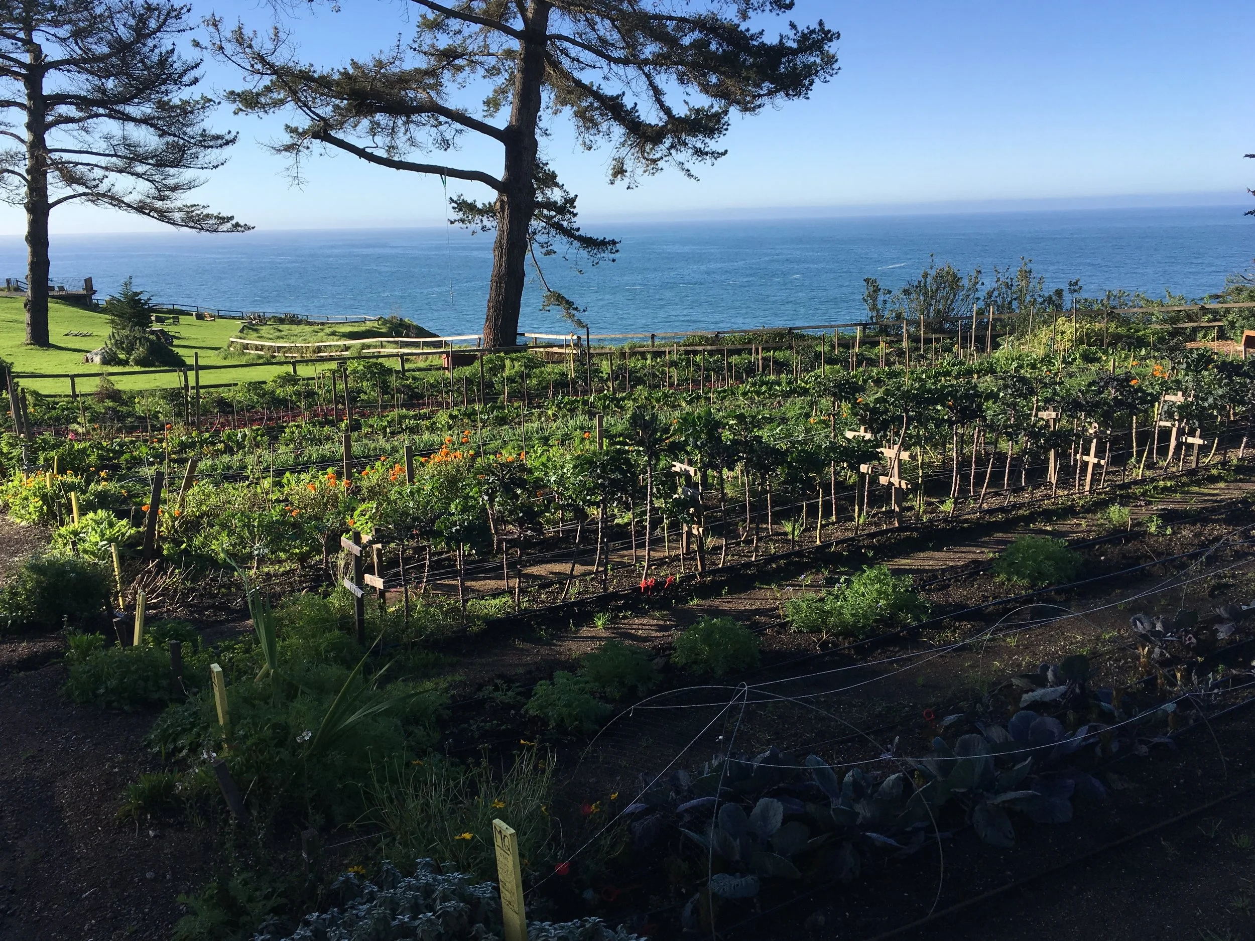 Literaturtips - Achtsamkeit und Kreativität