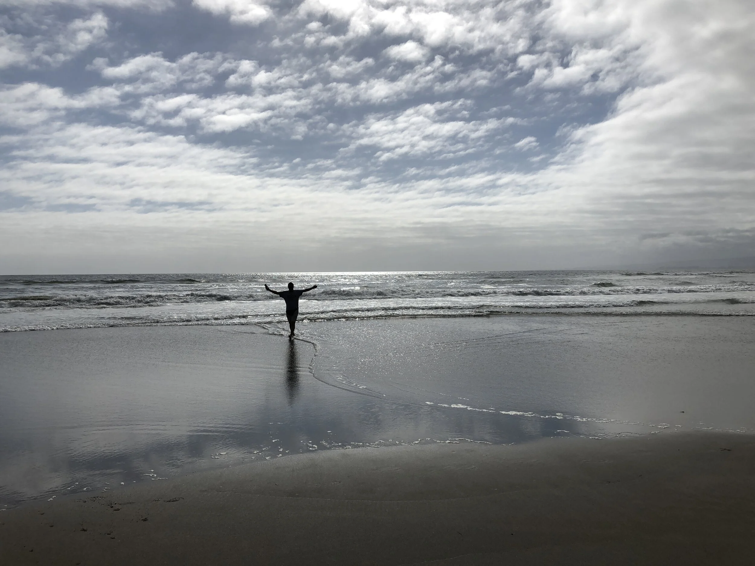 Die Welt und Organisationen im Ausnahmezustand