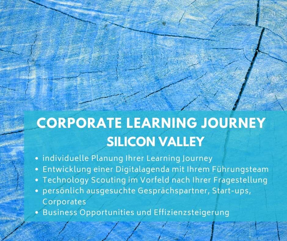 -> LEARNING JOURNEY - INDIVIDUELL