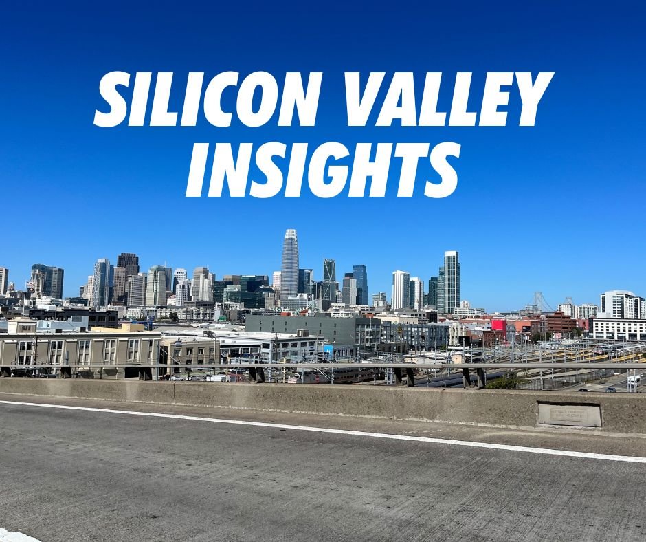 Silicon Valley Inisghts Vol 1