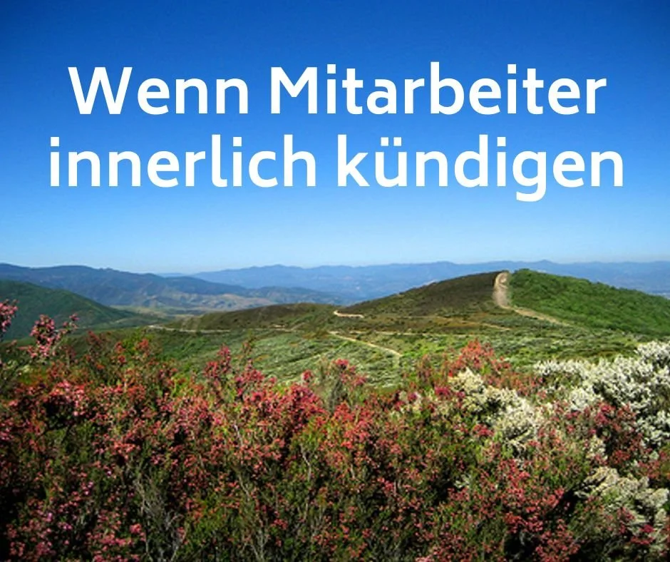Quite Cracking - Wenn Mitarbeiter innerlich kündigen