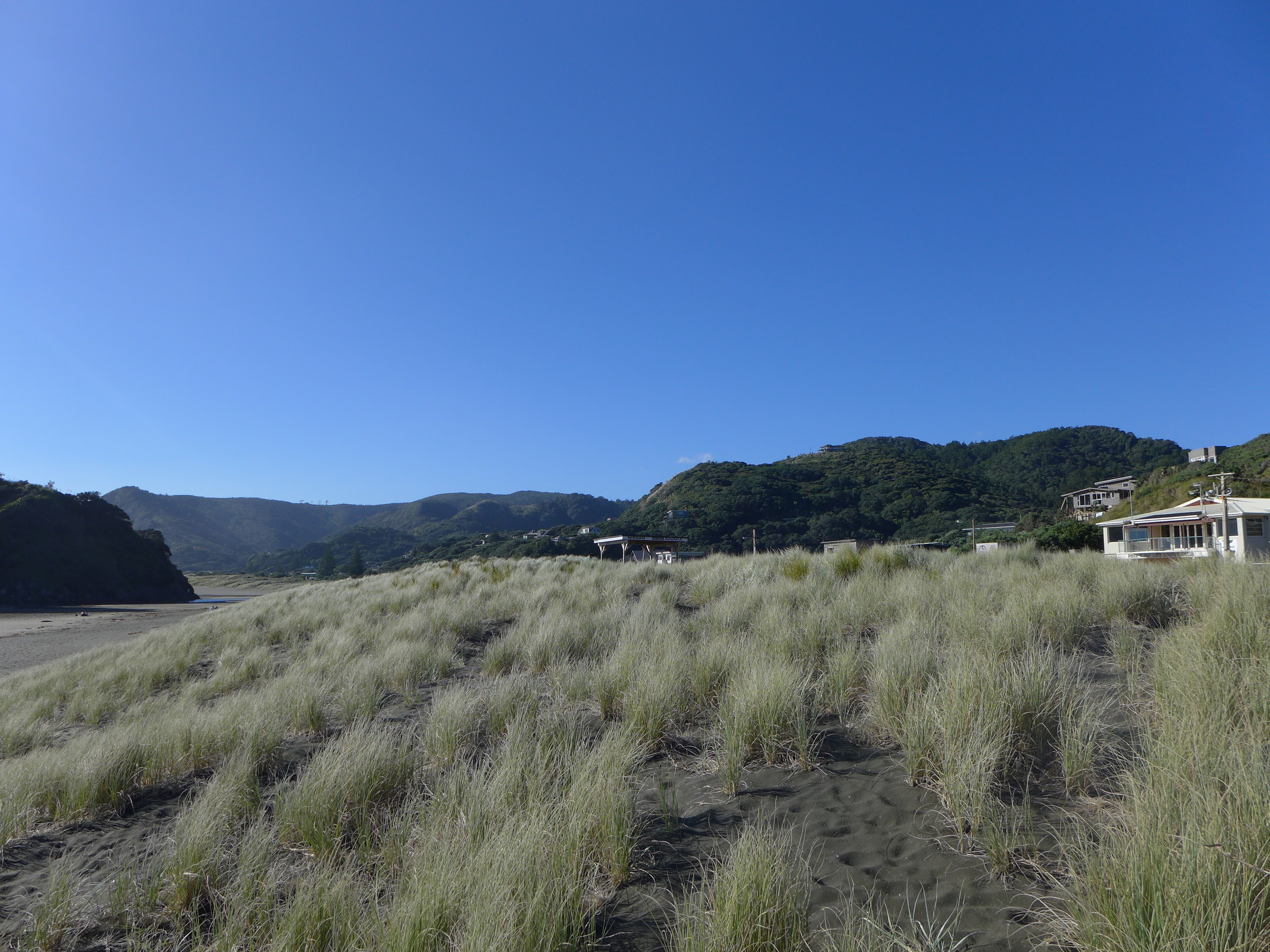 Piha beach!