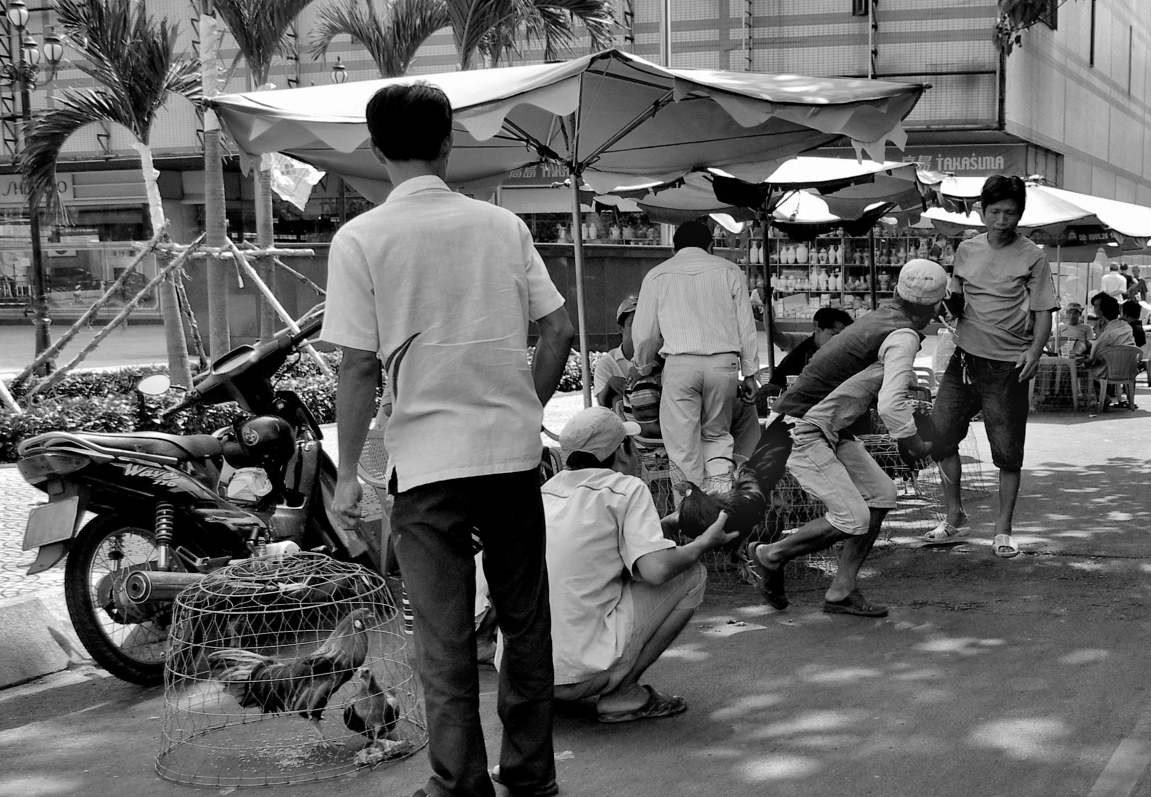 Chicken traders B+W.jpg
