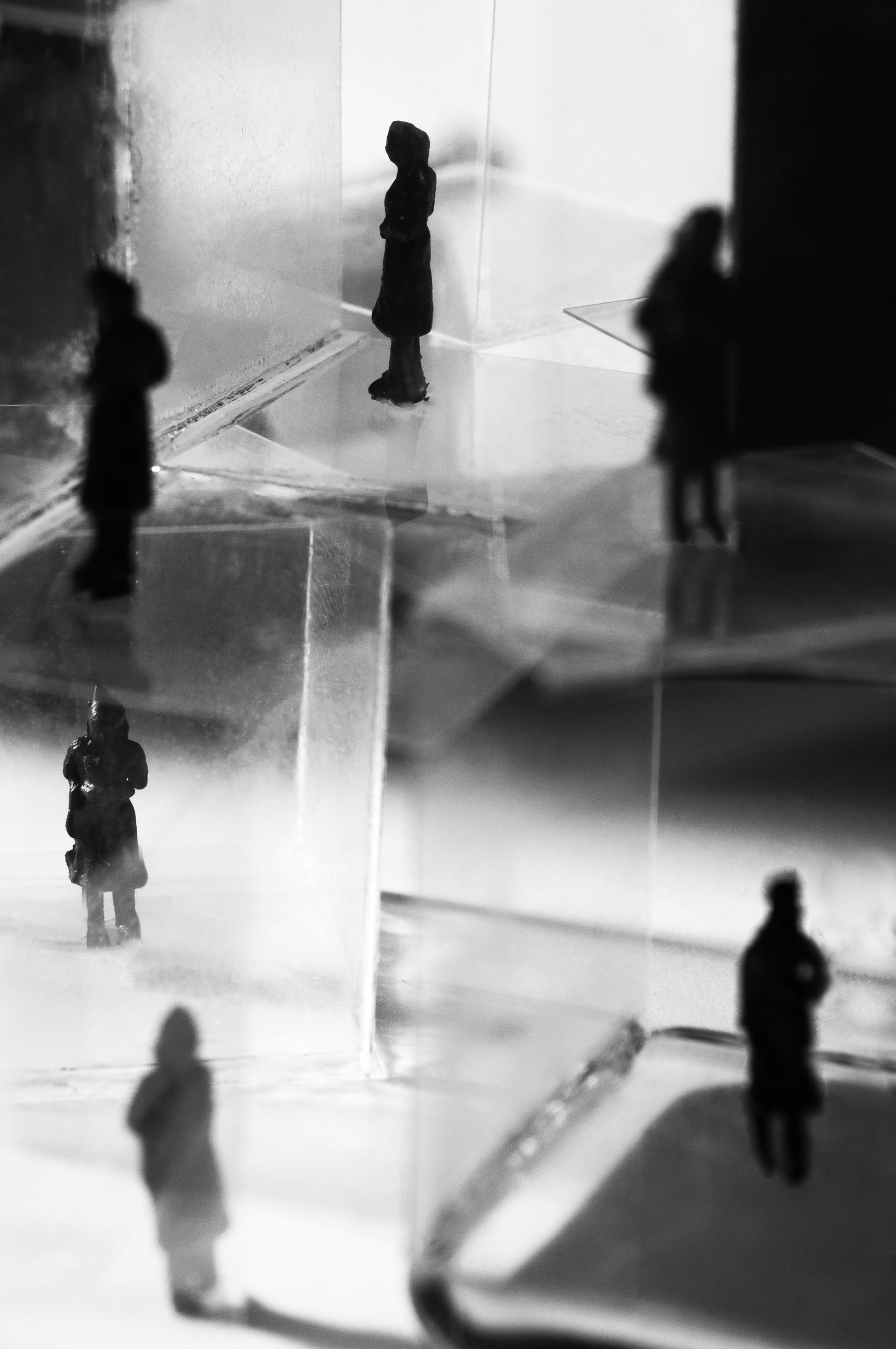 GlassHouses5.jpg
