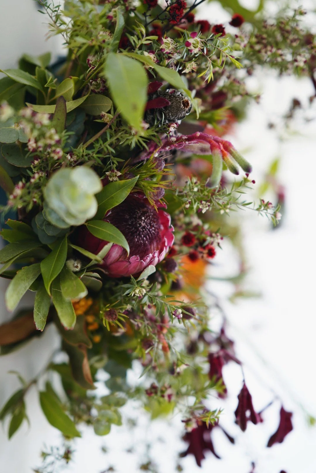 Australian Native Fresh Christmas Wreath