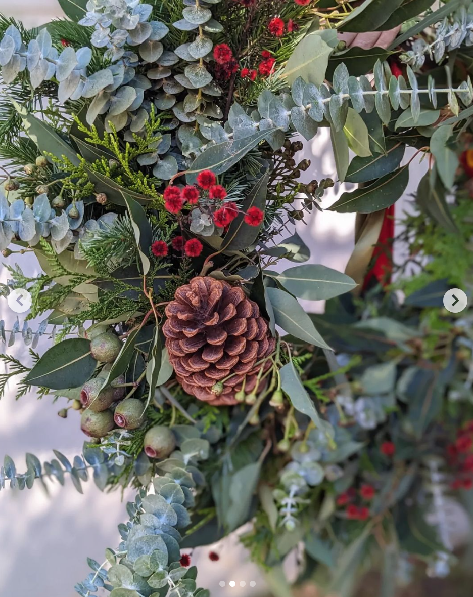 Screen Shot 2024-11-12 at 2.38.41 pm.png