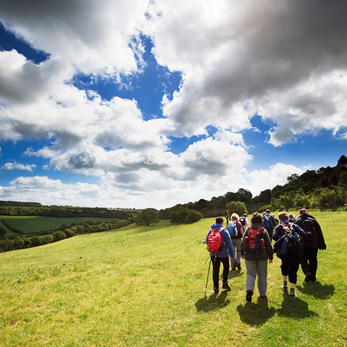 cotswolds5.jpg