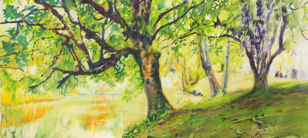 BANNER drawing and painting trees Fiona.jpg