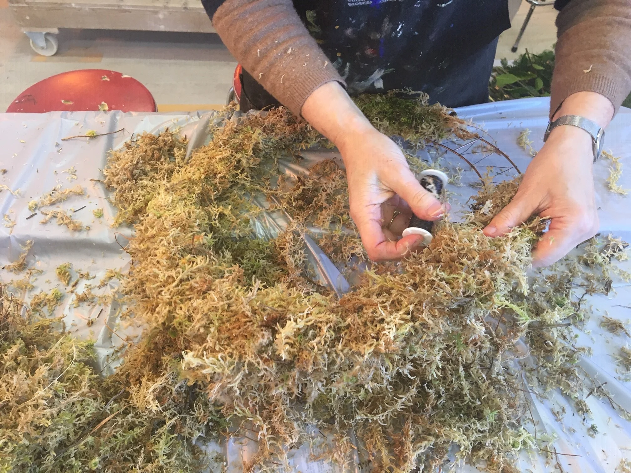 Applying moss.jpg