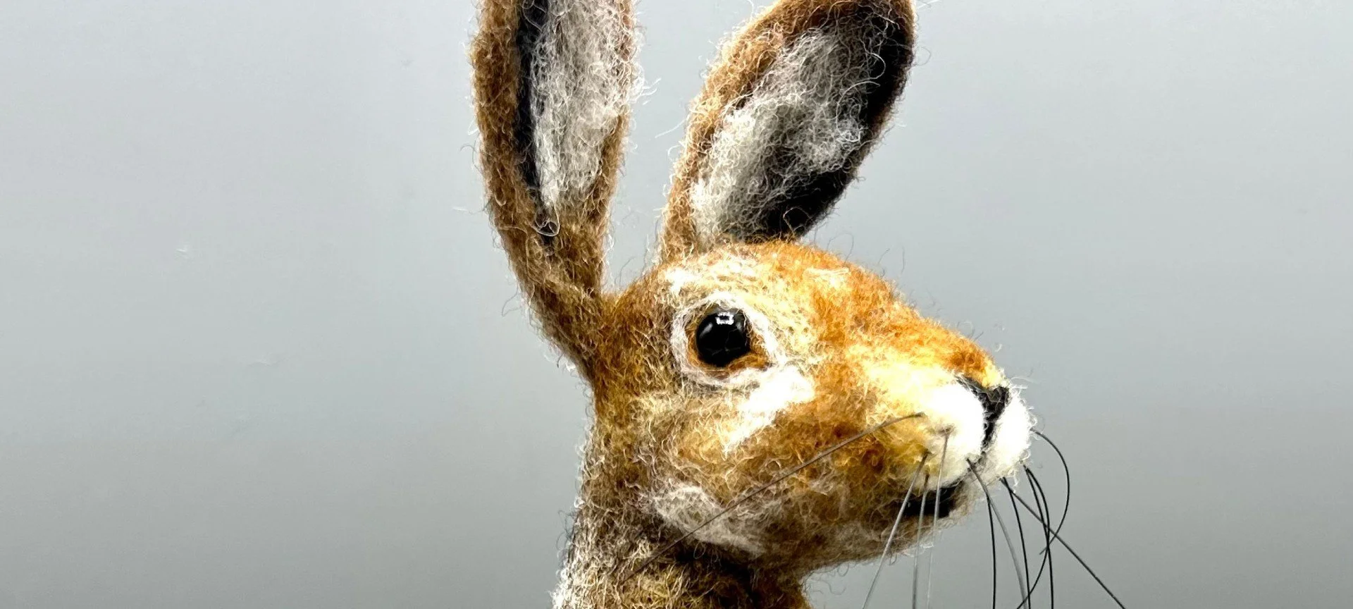 Spring Hare Needle Felting