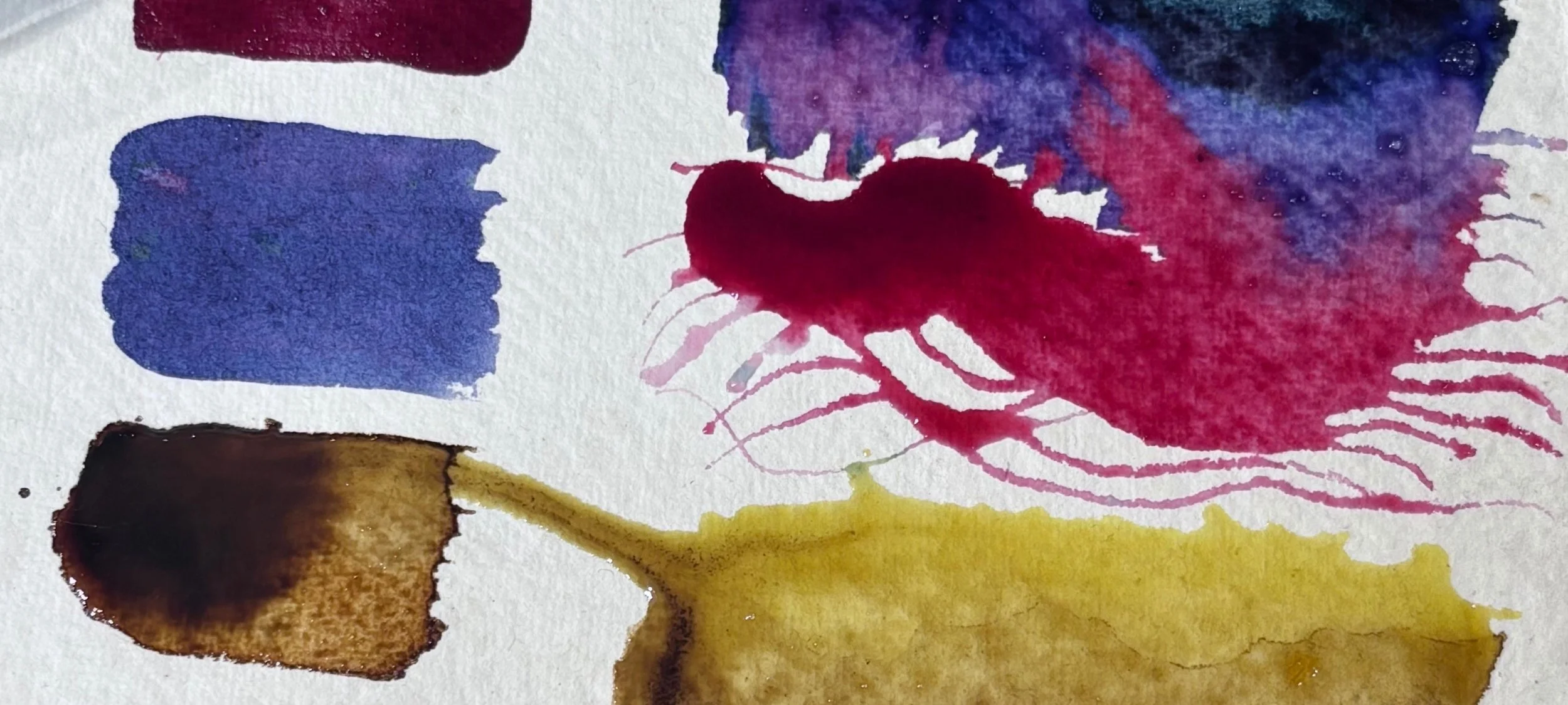 Ink from Plants