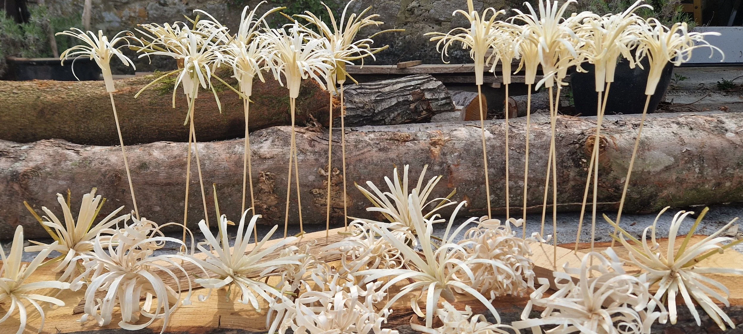 Introduction to Green Woodwork