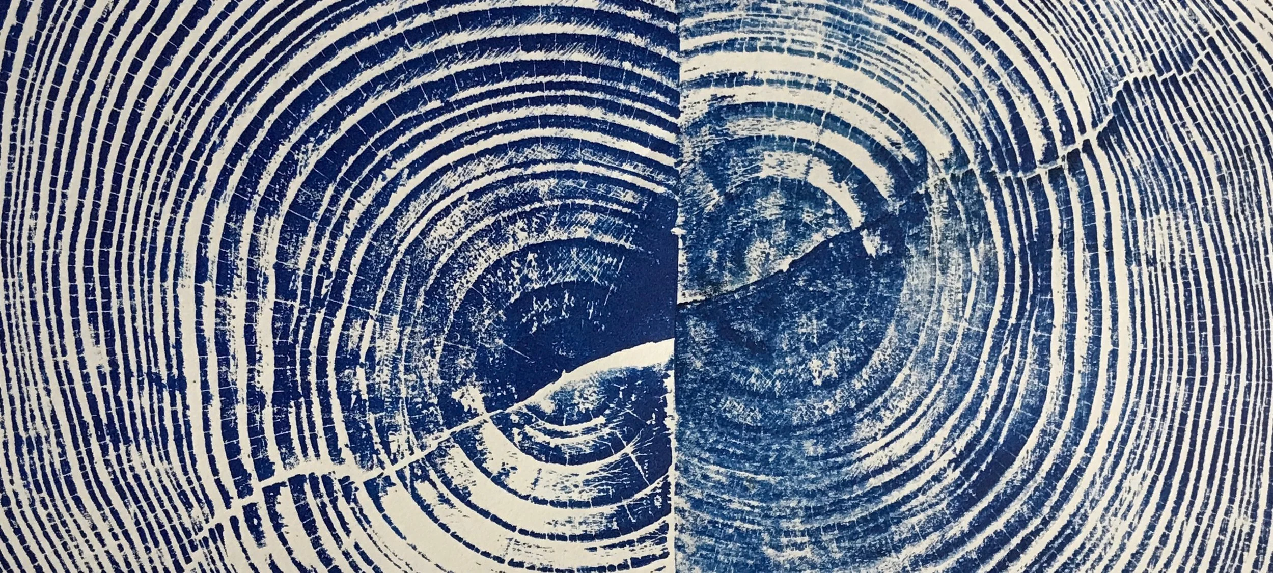 Tree Ring Wood Prints